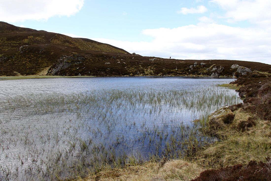Scotland