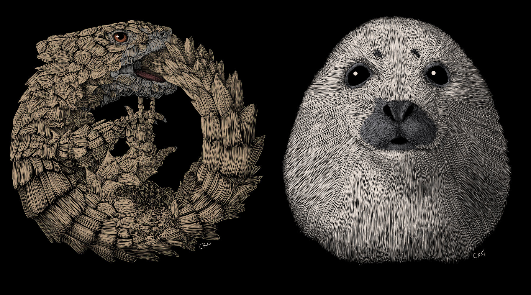 Digital Scratchboard Wildlife Art Walking In Nature