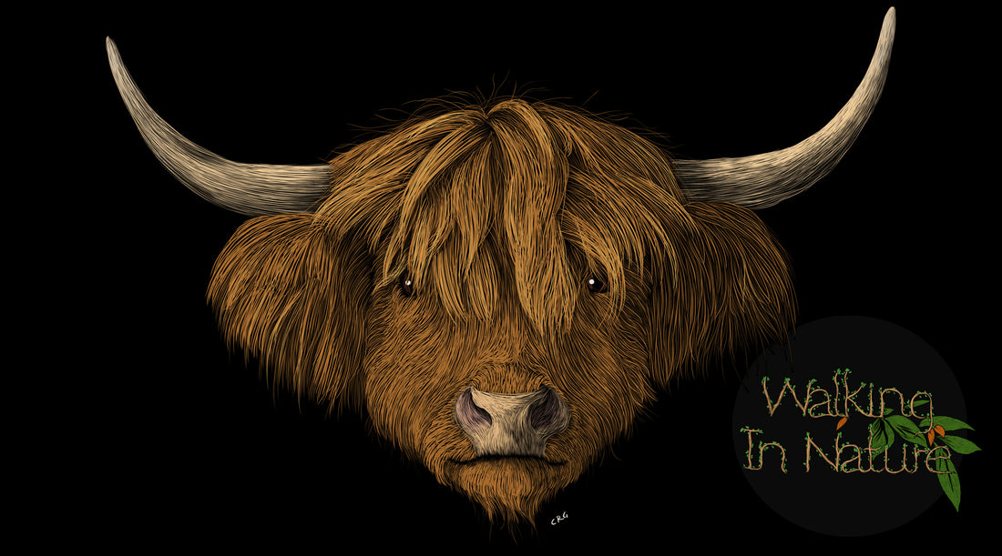 Wildlife Portraits: Capturing the Essence