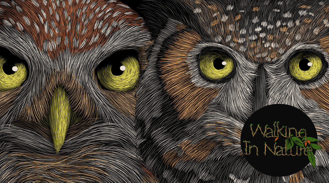 How to Create a Wildlife Art Series