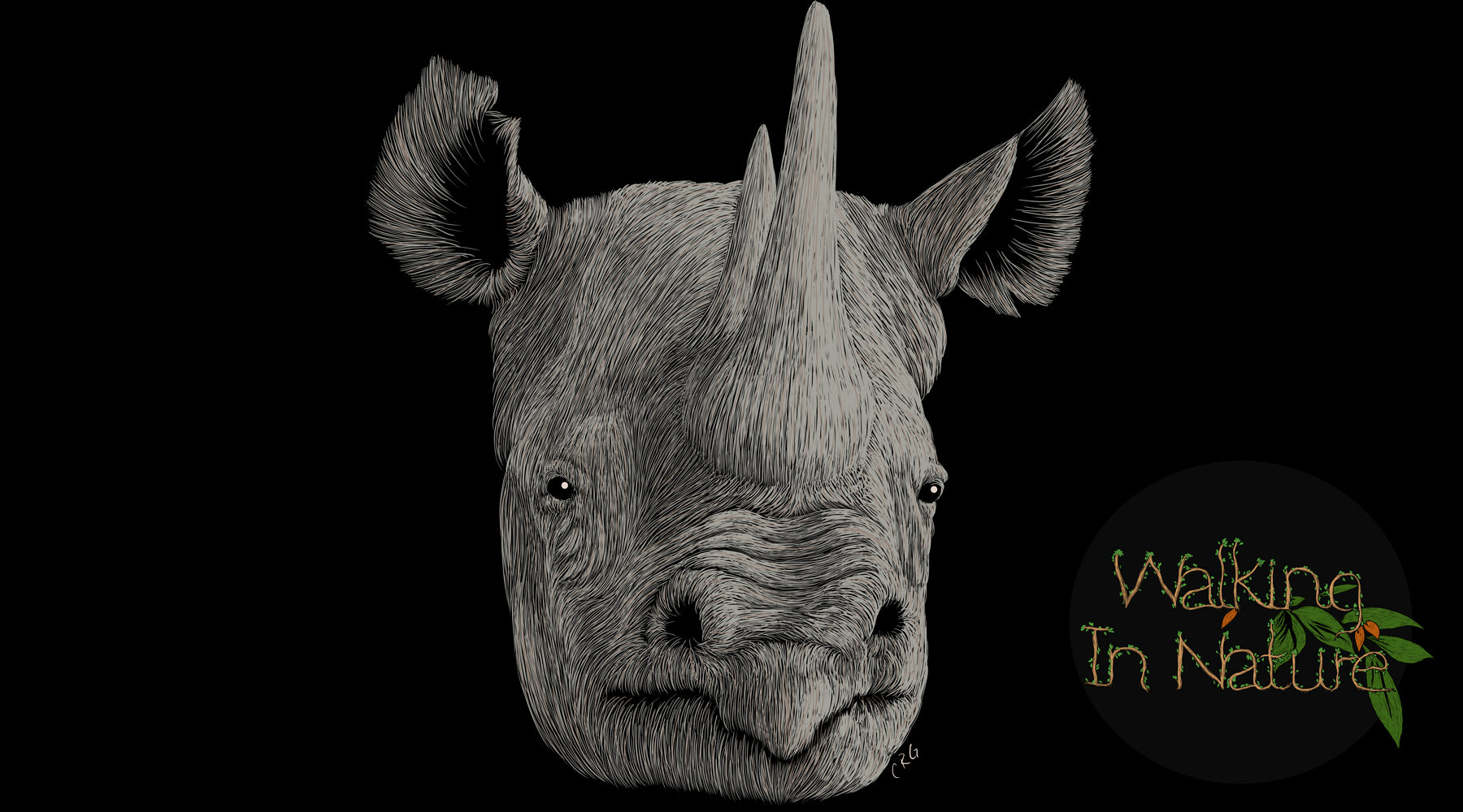 Promoting Wildlife Conservation Through Art