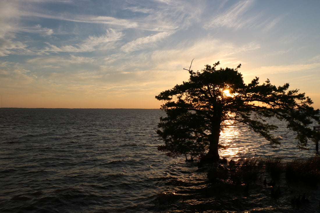 Sunset in Duck