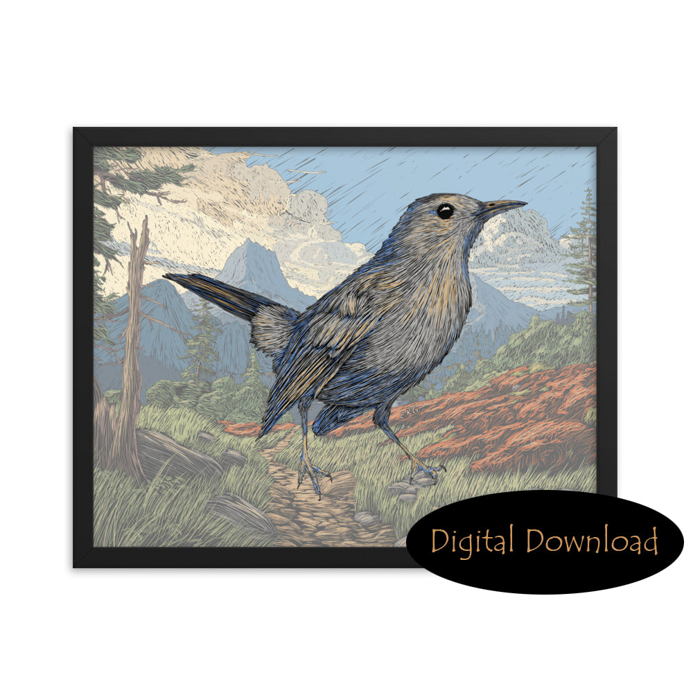 Digital Downloads