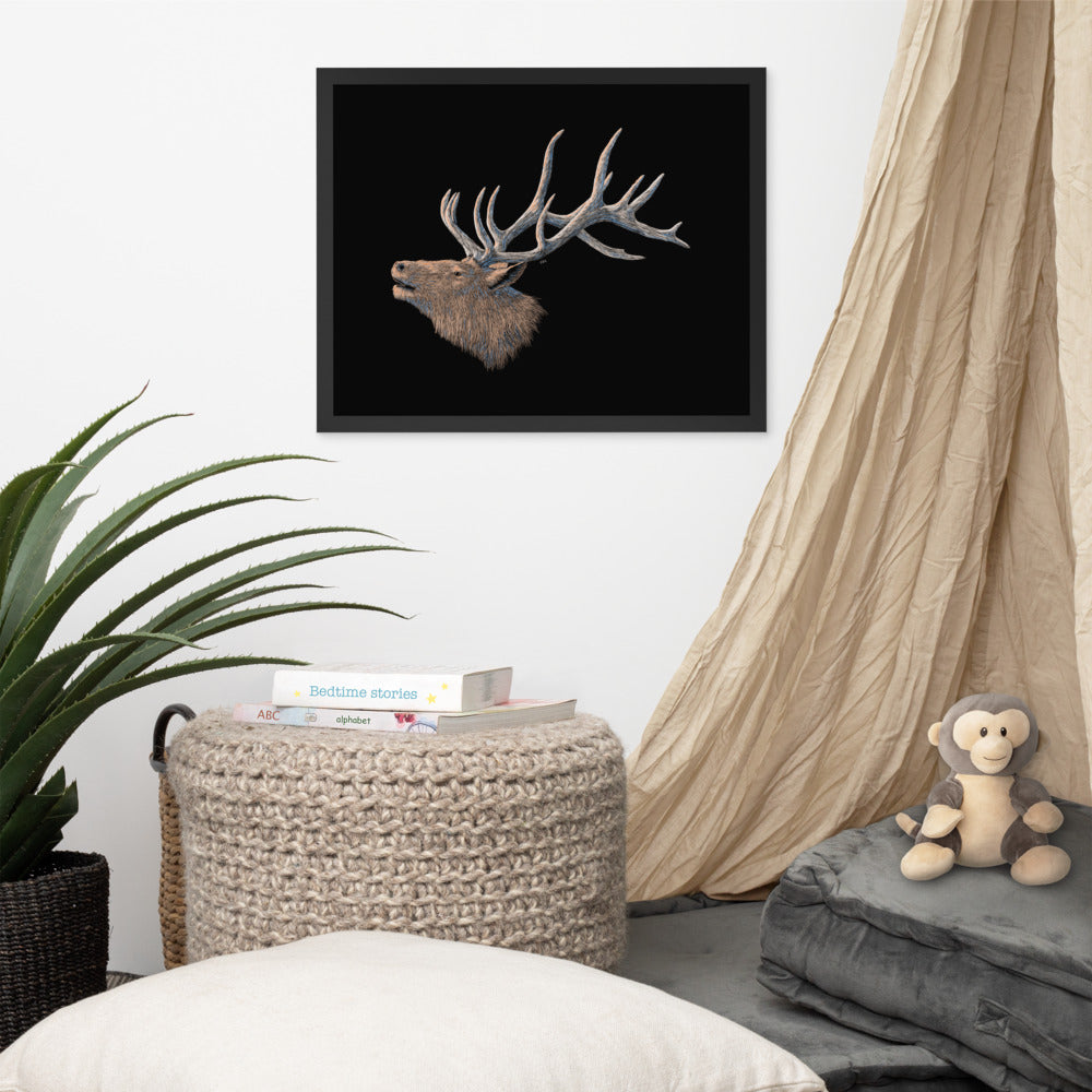 Grand Canyon Wildlife Digital Downloadable Art Bundle