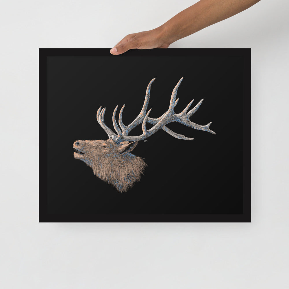 Grand Canyon Wildlife Digital Downloadable Art Bundle