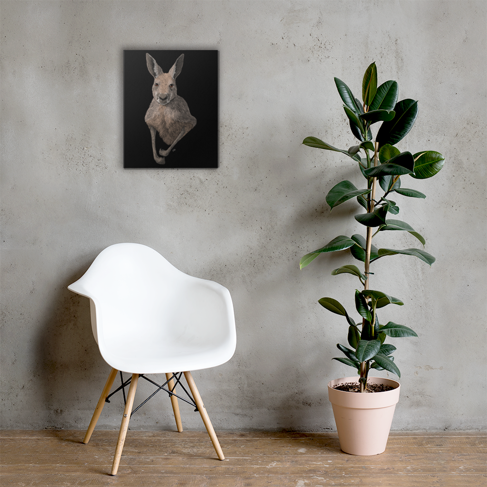 Kangaroo Art Prints