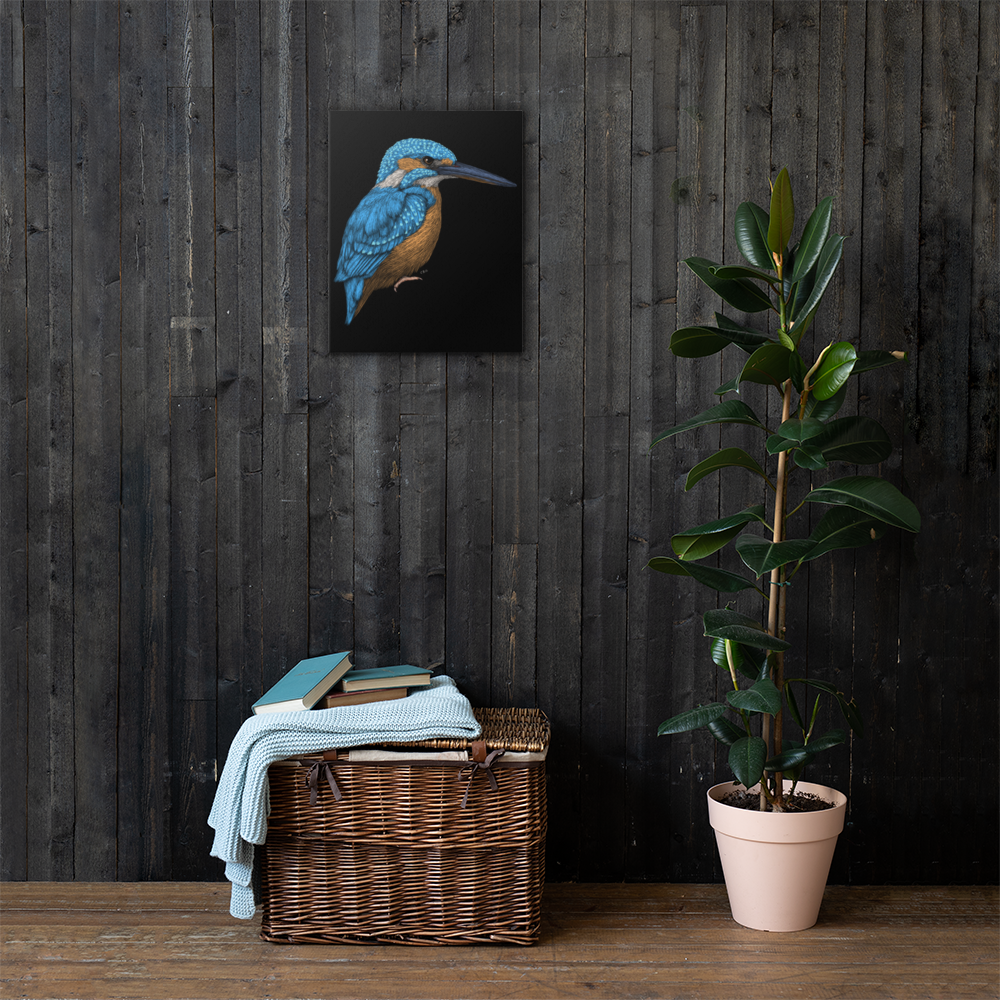 Kingfisher Art Prints