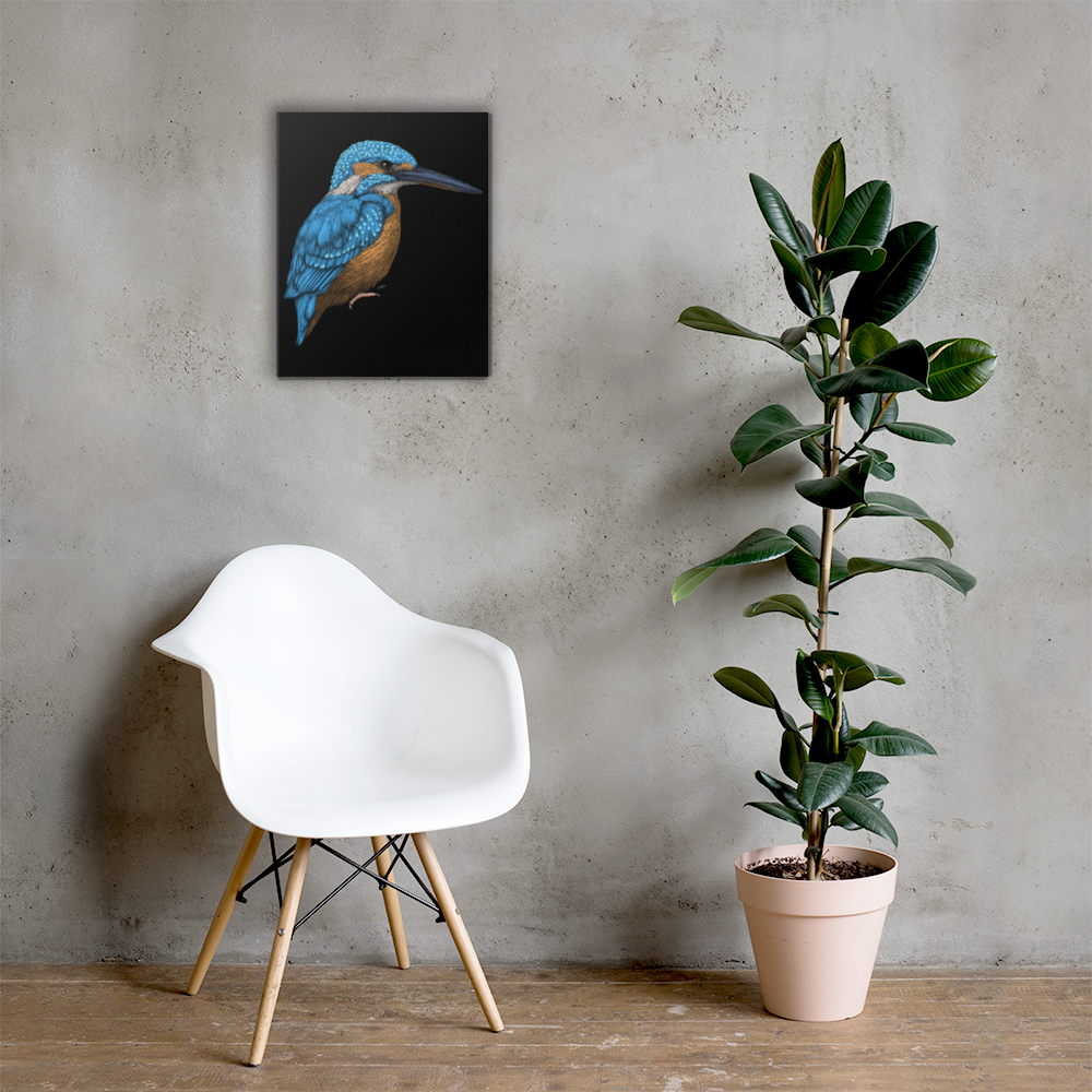Kingfisher Art Prints