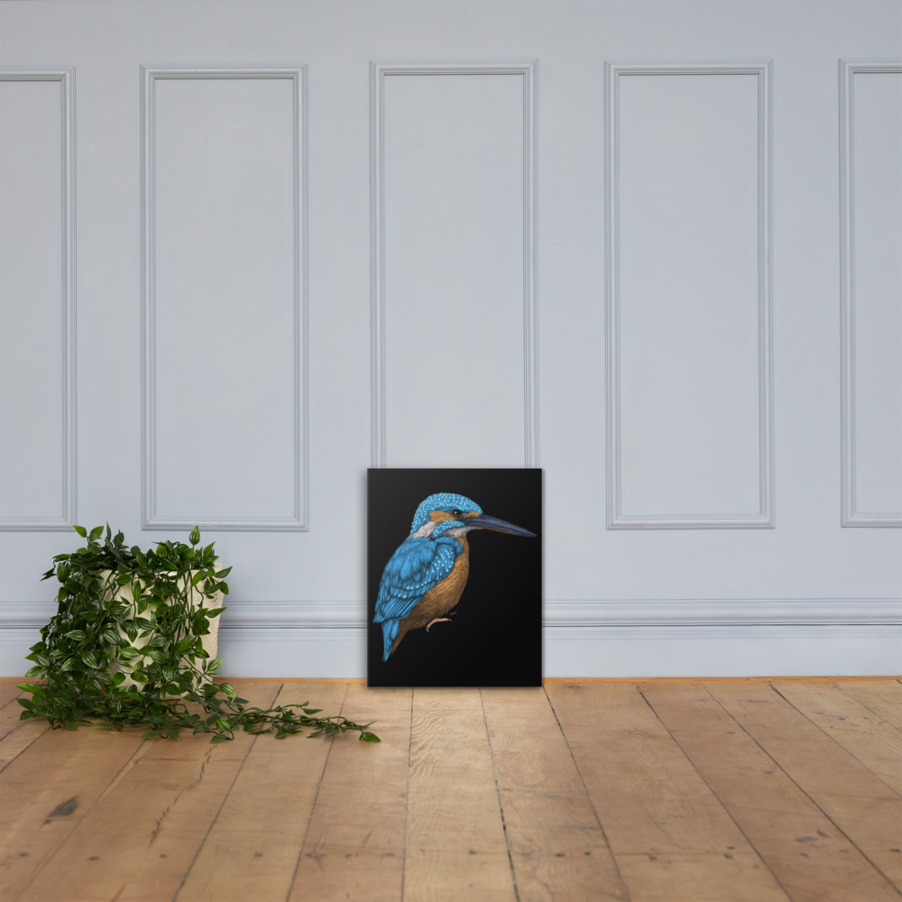 Kingfisher Art Prints