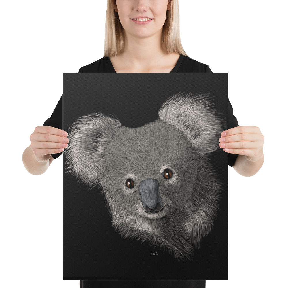 Koala Art Prints