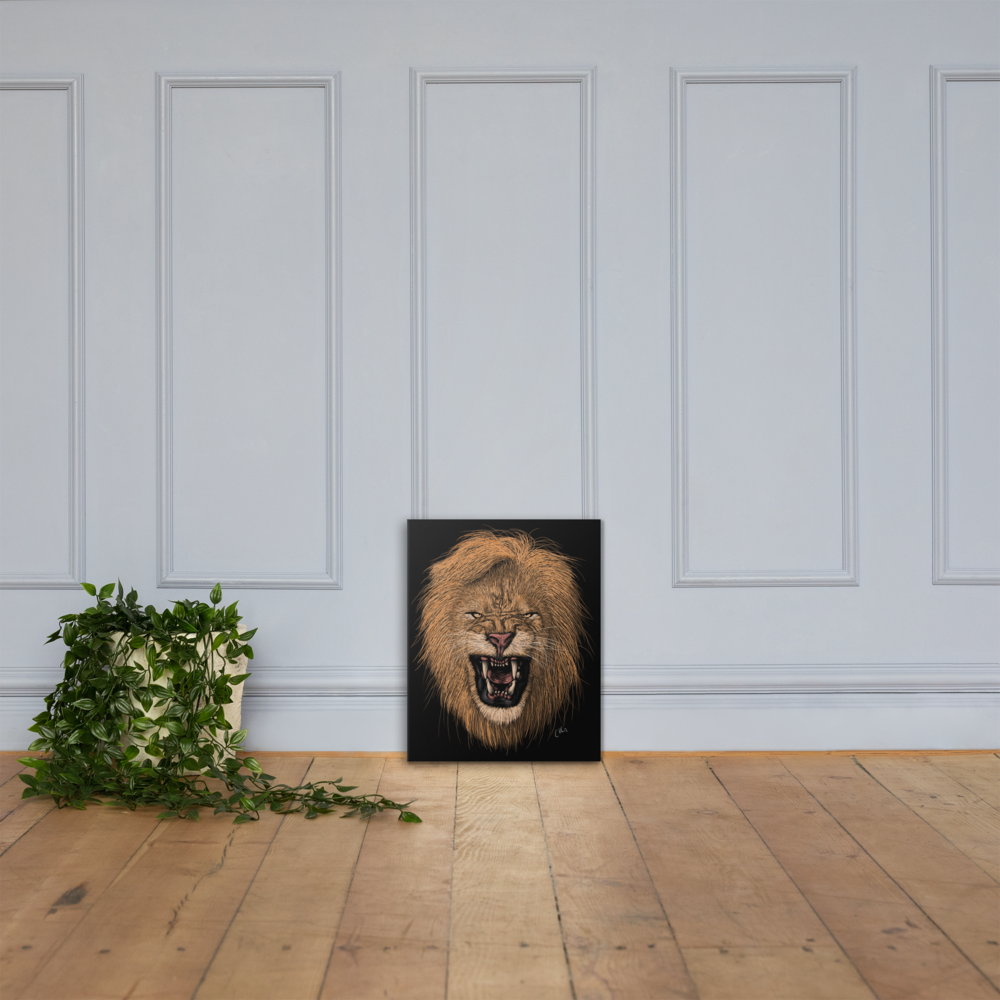 Lion Art Prints