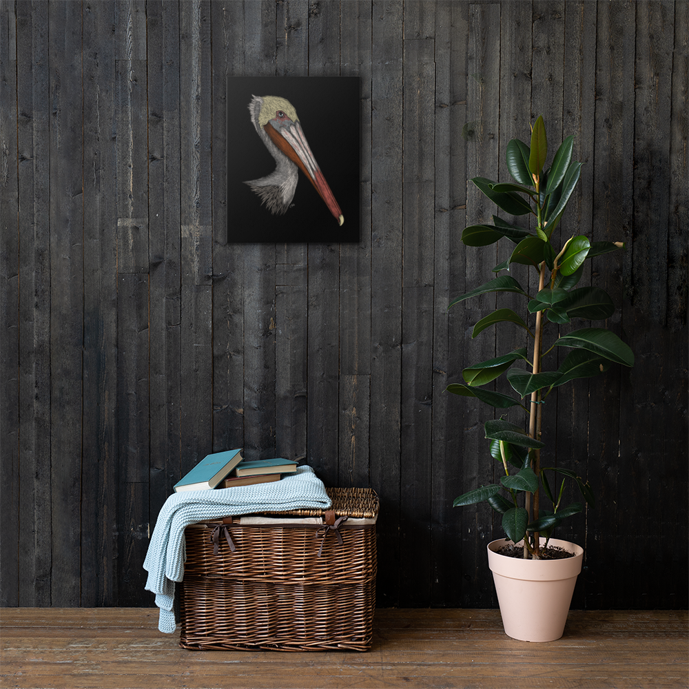 Pelican Art Prints