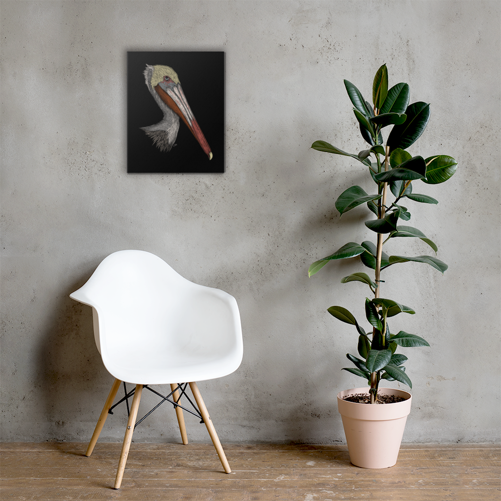 Pelican Art Prints