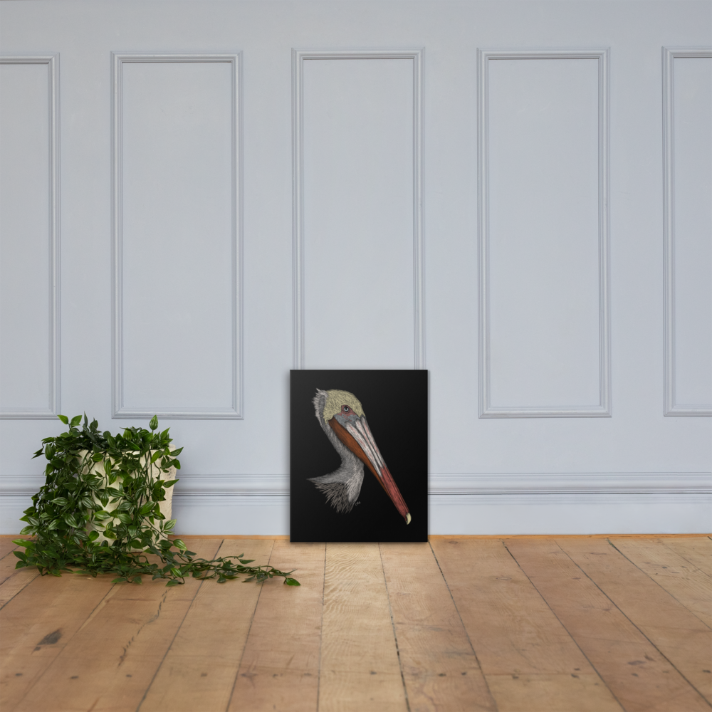 Pelican Art Prints