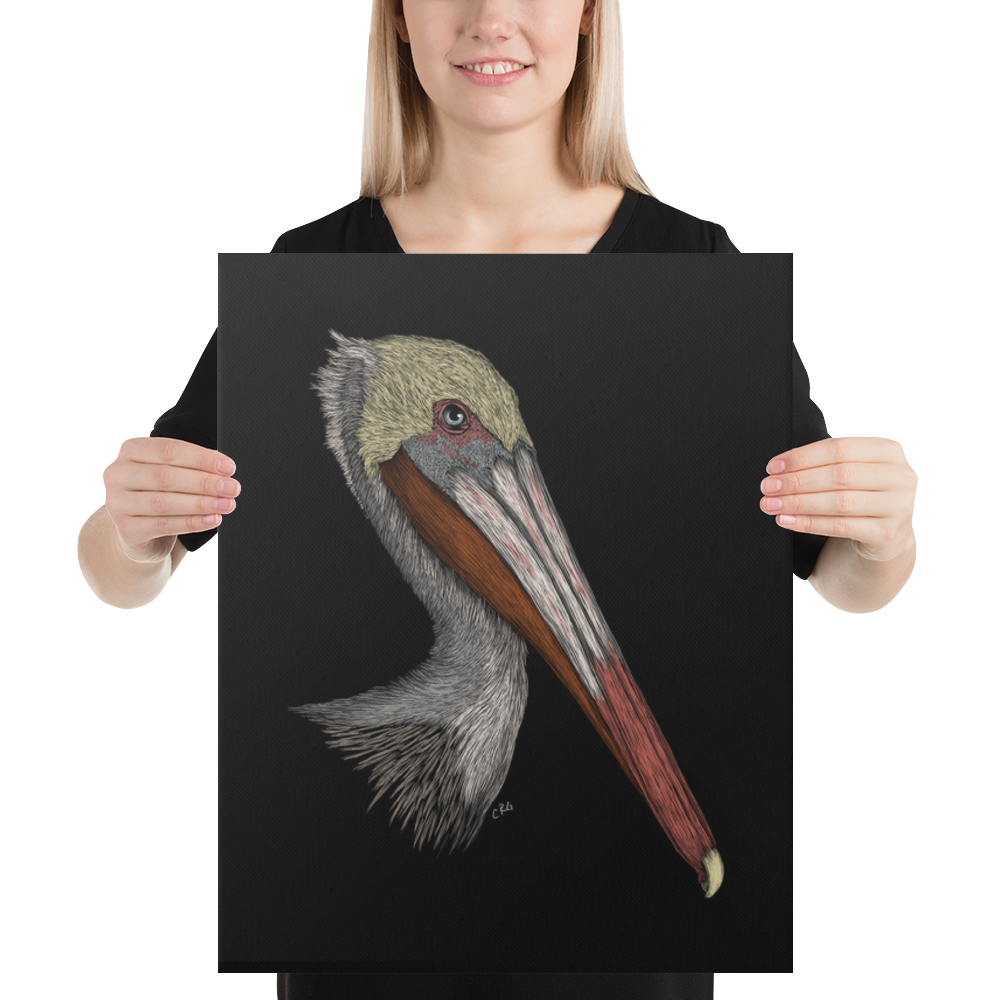 Pelican Art Prints