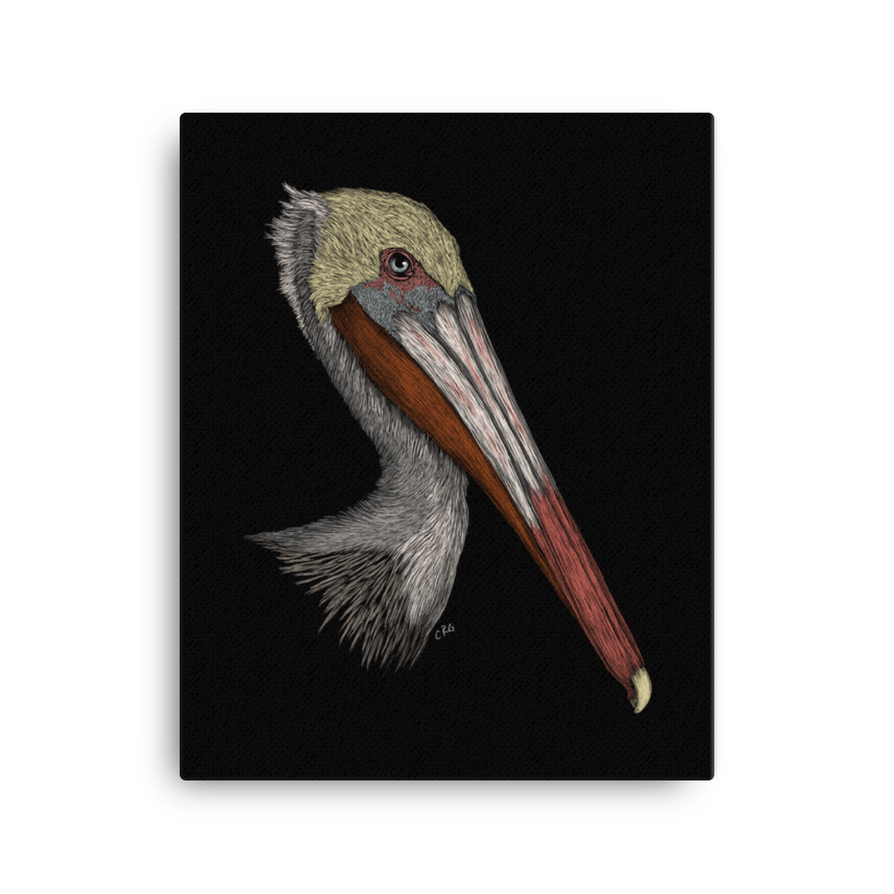 Pelican Art Prints – Walking In Nature