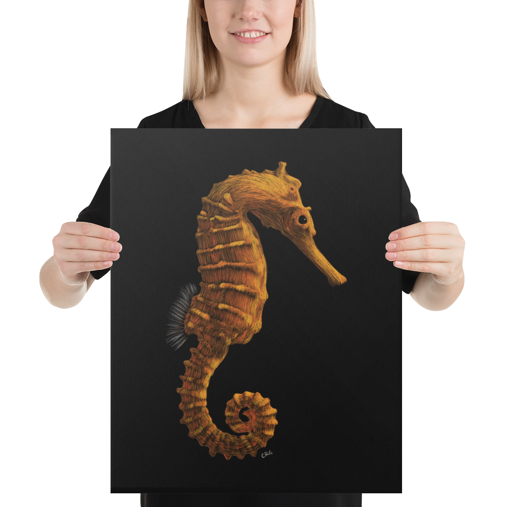 Seahorse Art Prints