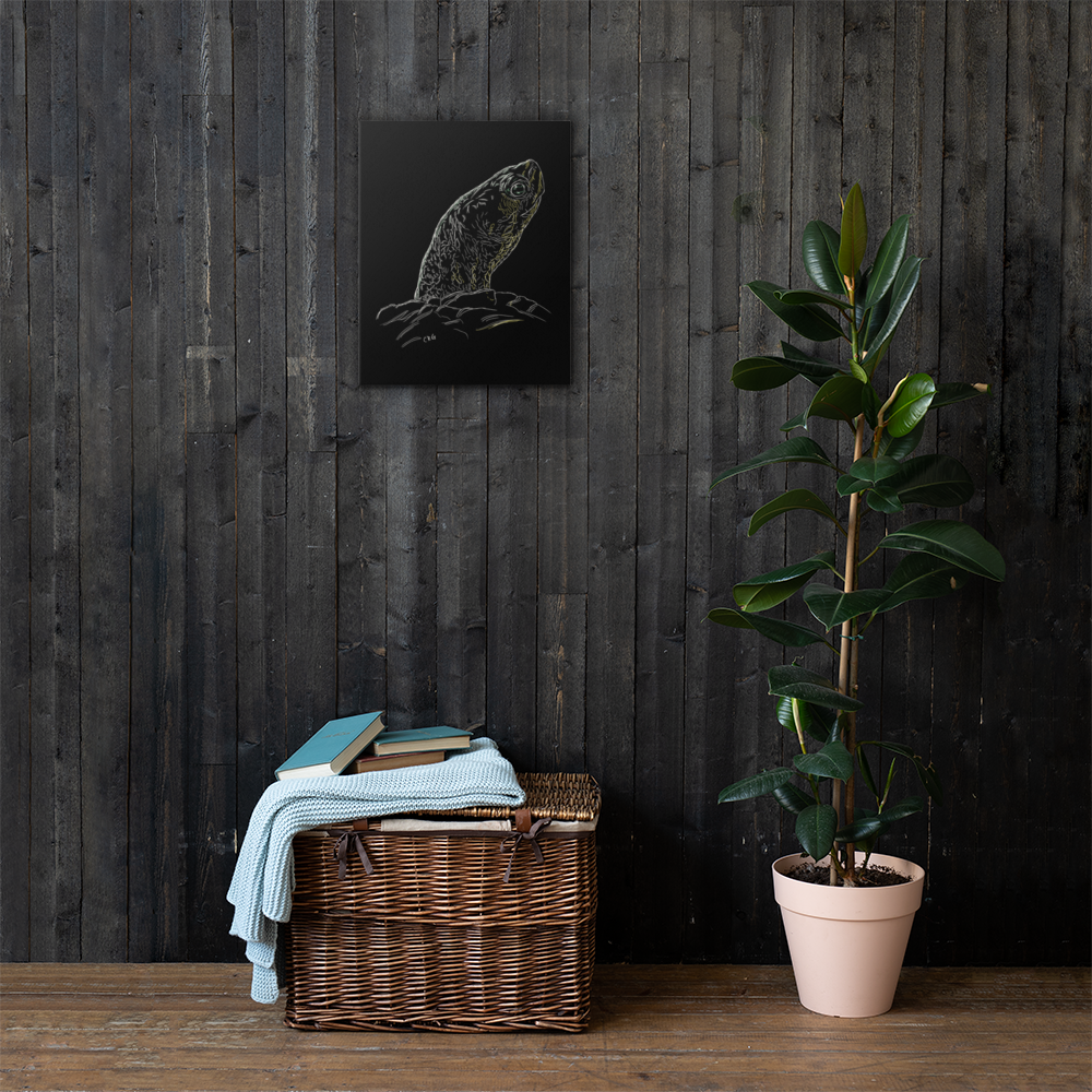 Turtle Art Prints