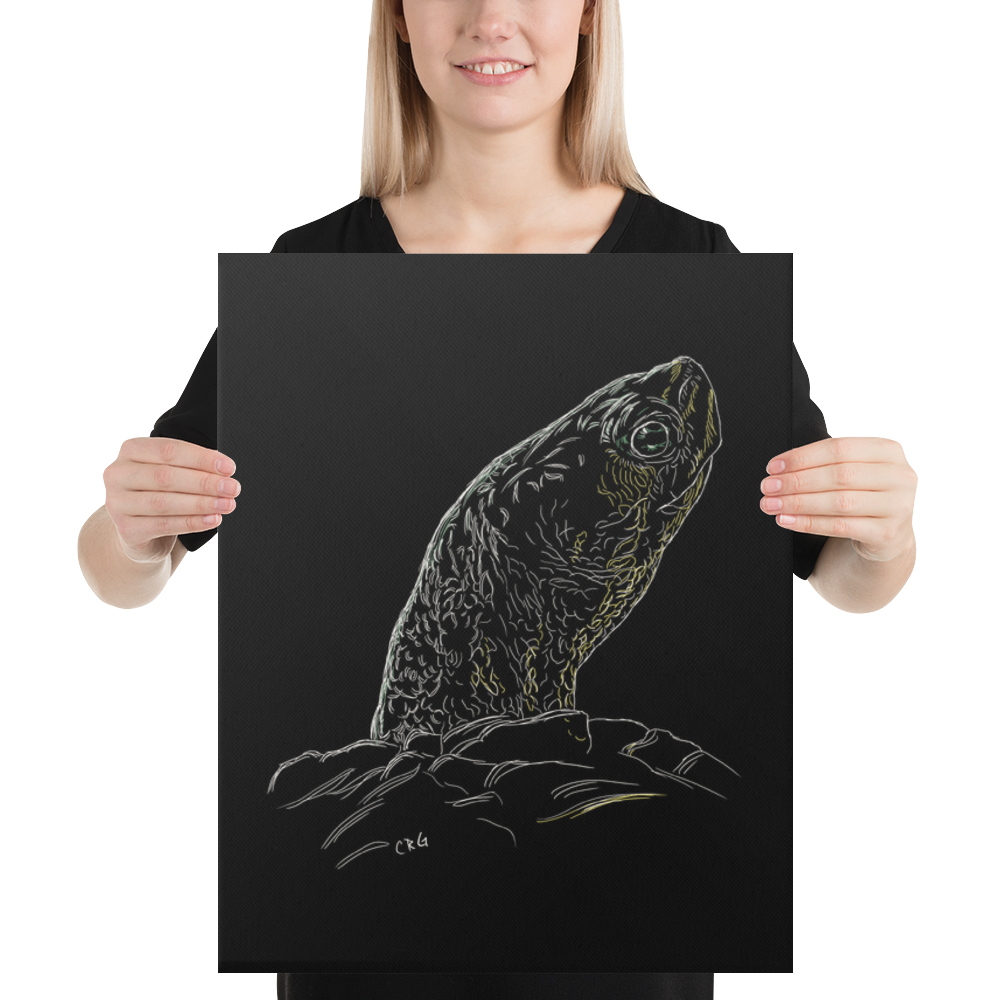 Turtle Art Prints