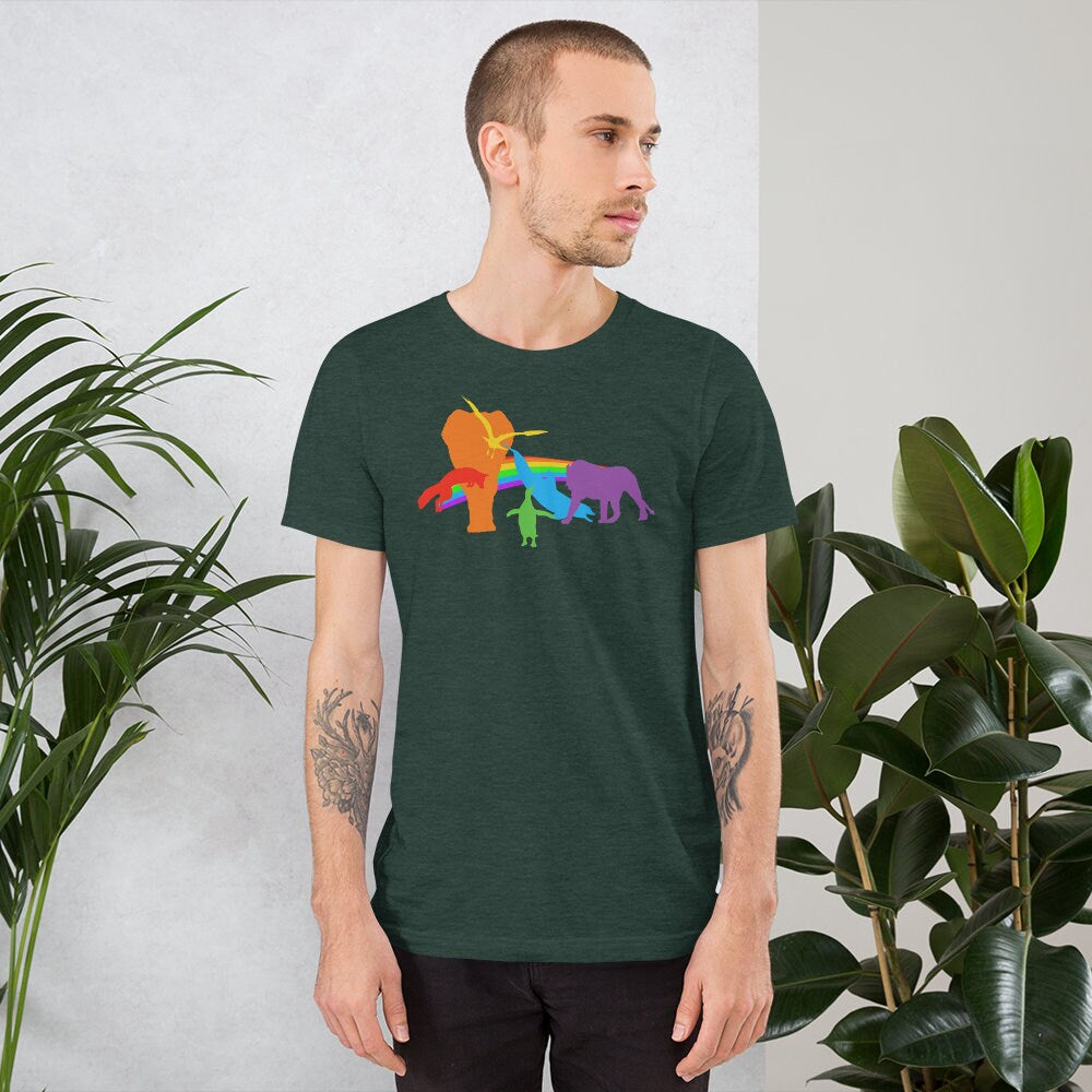 LGBTQIA+ Rainbow Shirt