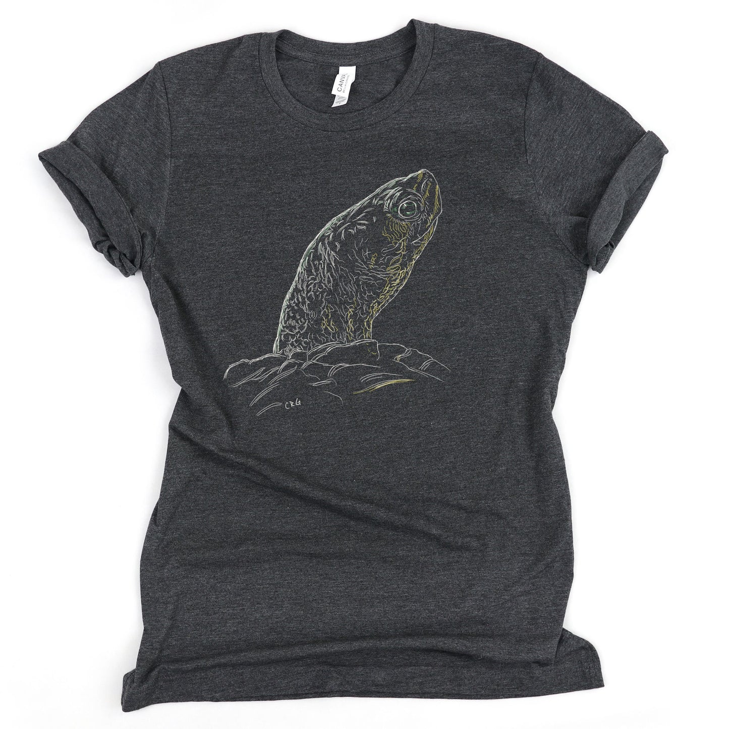 Turtle Shirt