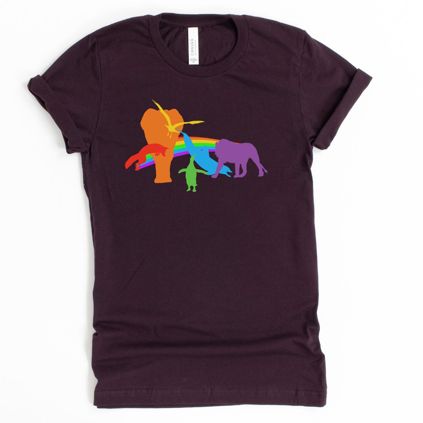 LGBTQIA+ Rainbow Shirt