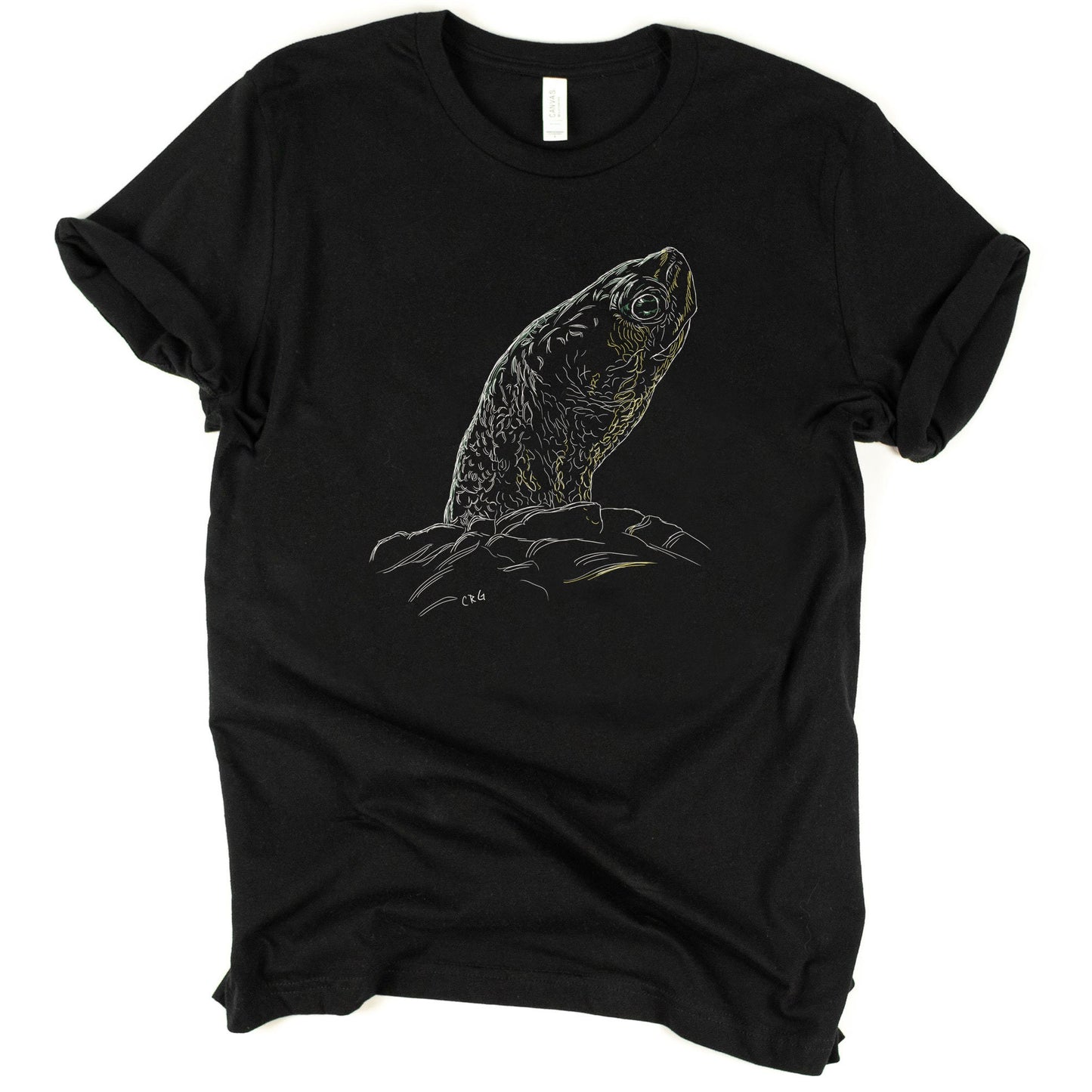 Turtle Shirt