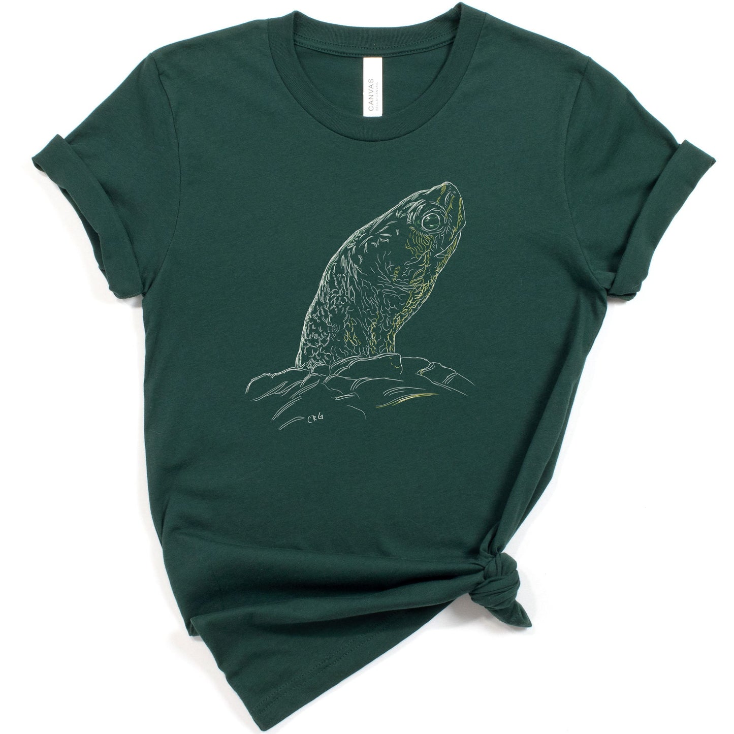 Turtle Shirt