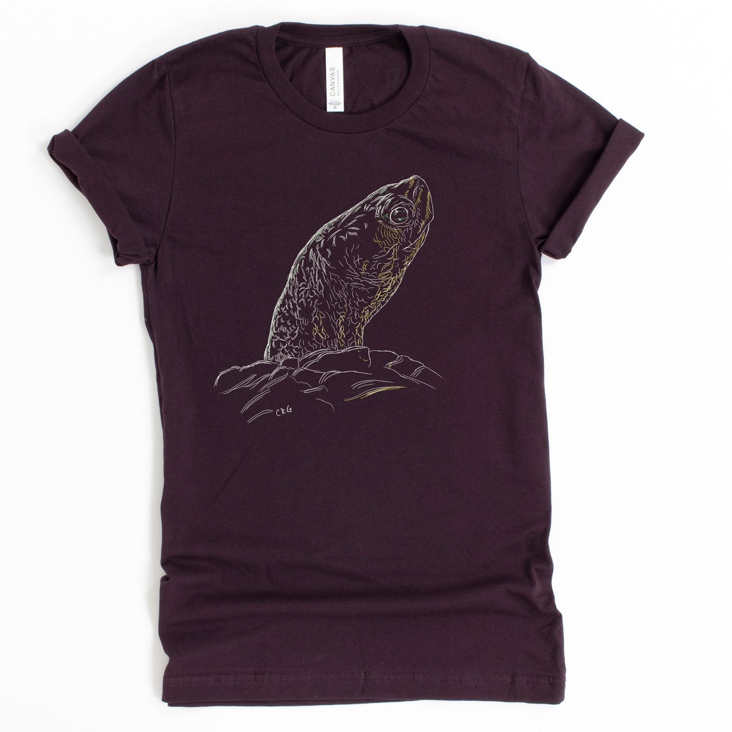 Turtle Shirt