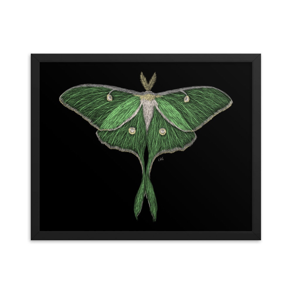 Luna Moth Digital Download Art Print