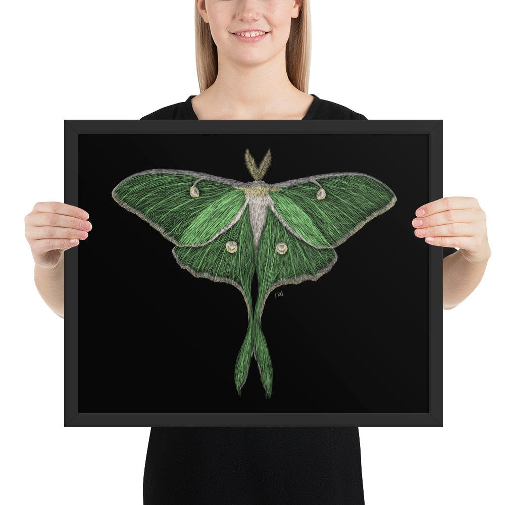 Luna Moth Digital Download Art Print