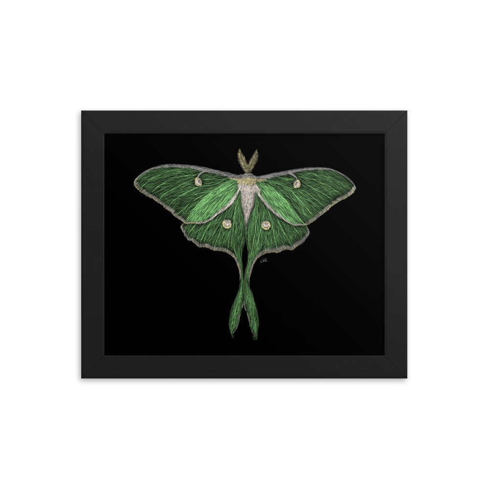 Luna Moth Digital Download Art Print