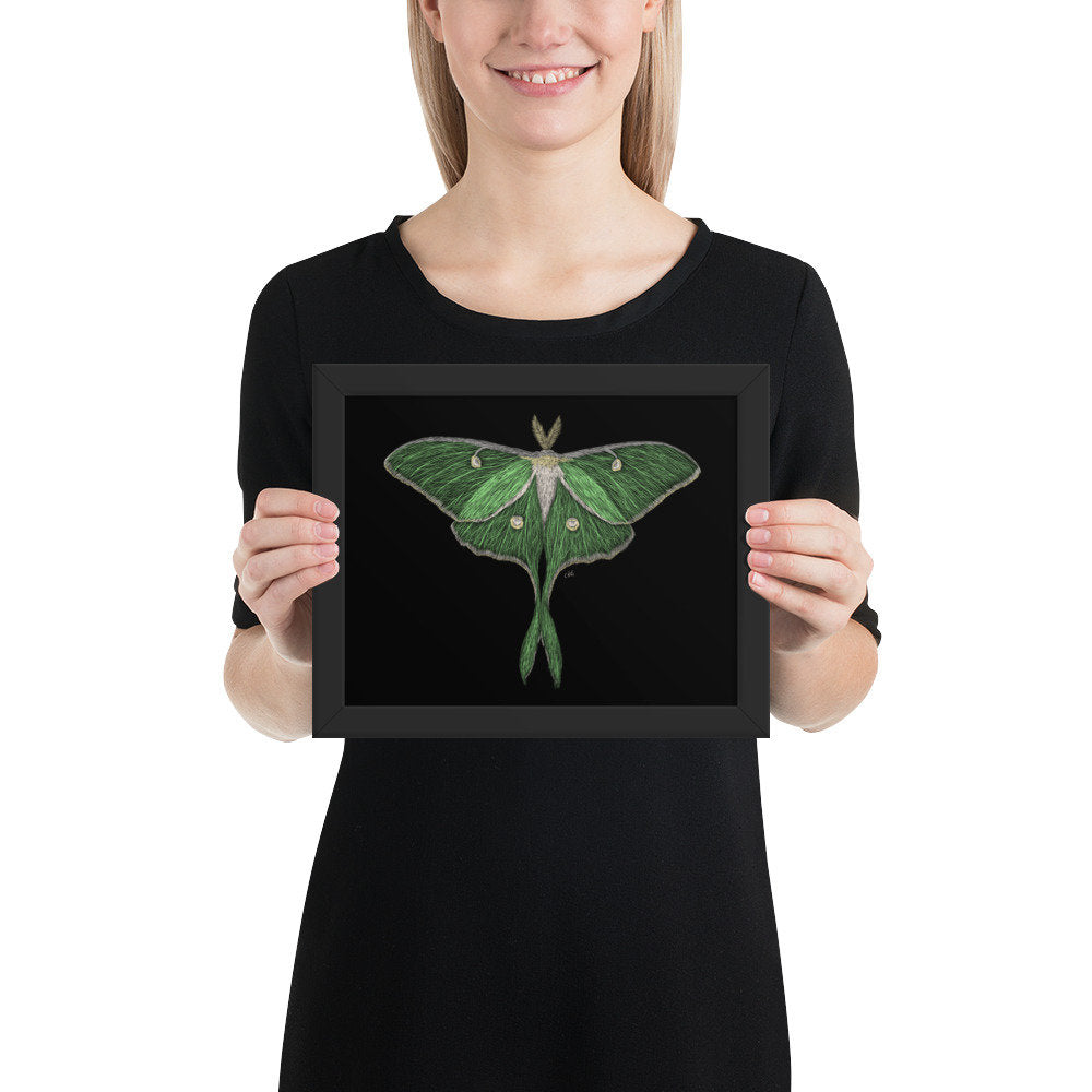 Luna Moth Digital Download Art Print