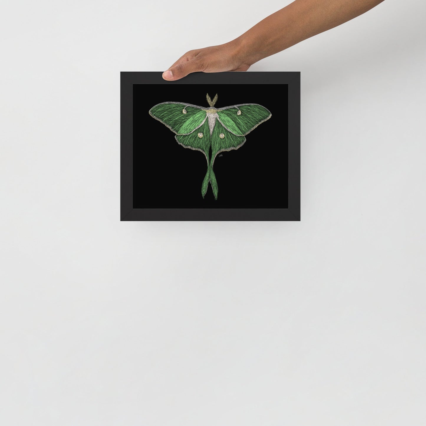 Luna Moth Digital Download Art Print