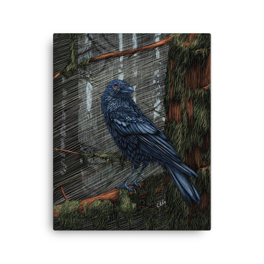Raven Canvas Art Print