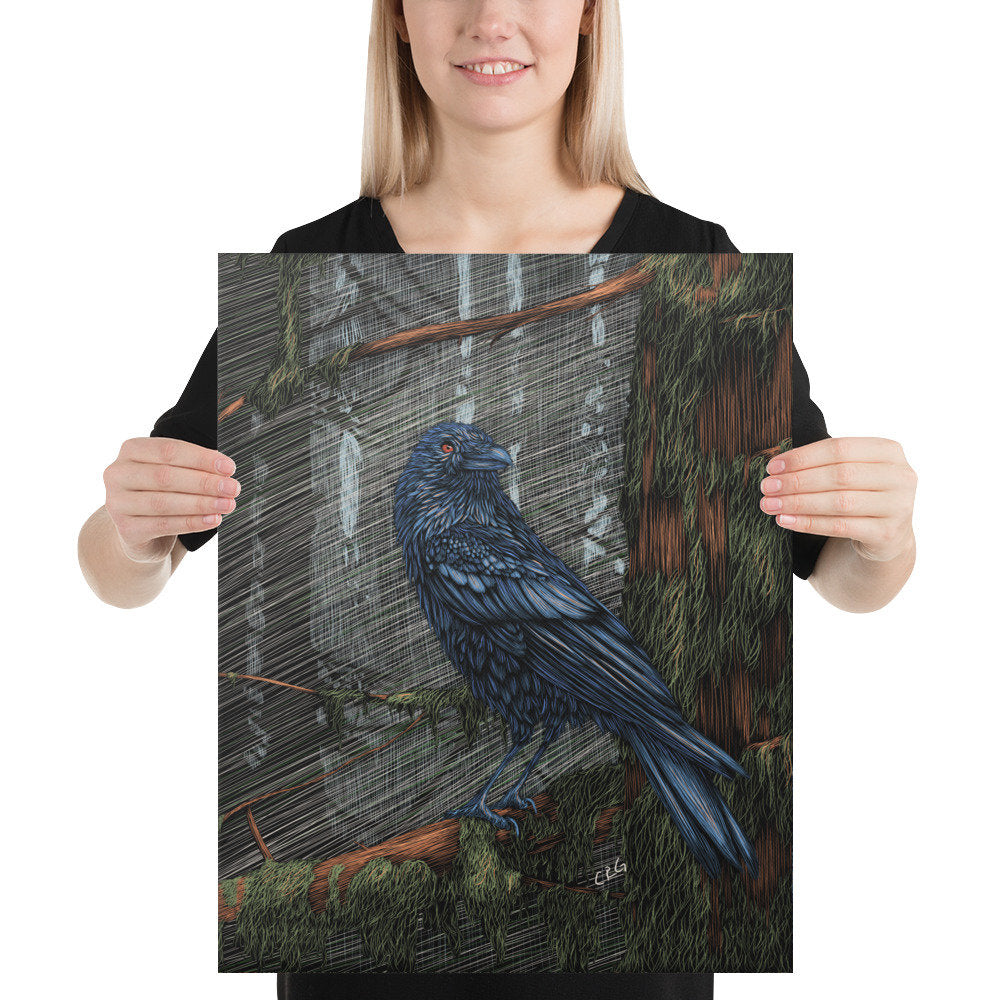 Raven Canvas Art Print