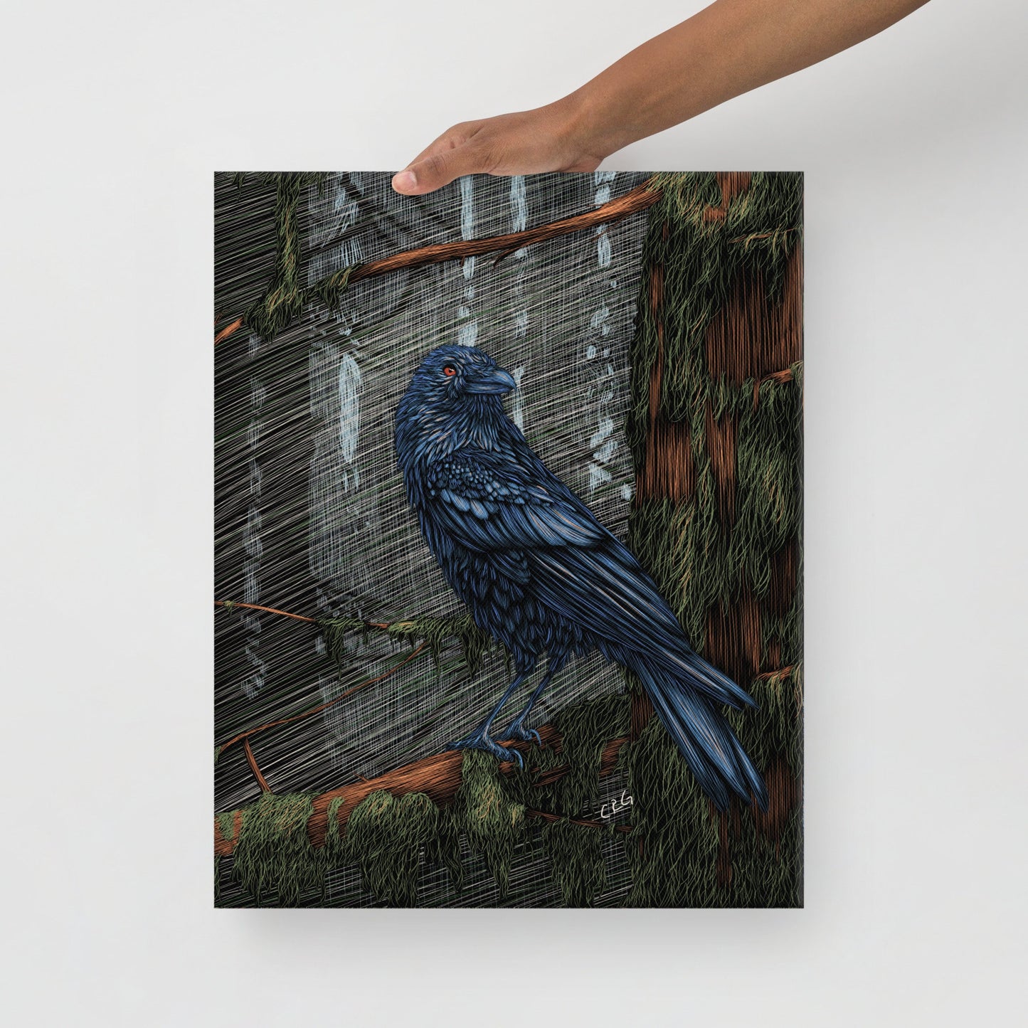 Raven Canvas Art Print