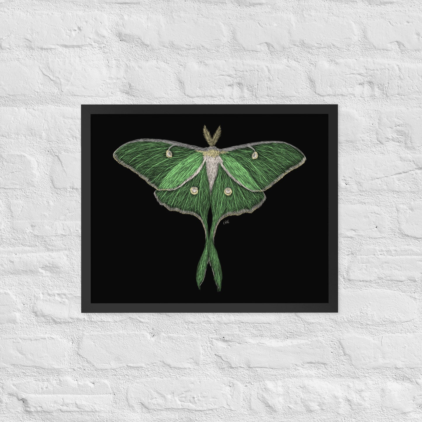 Luna Moth Digital Download Art Print