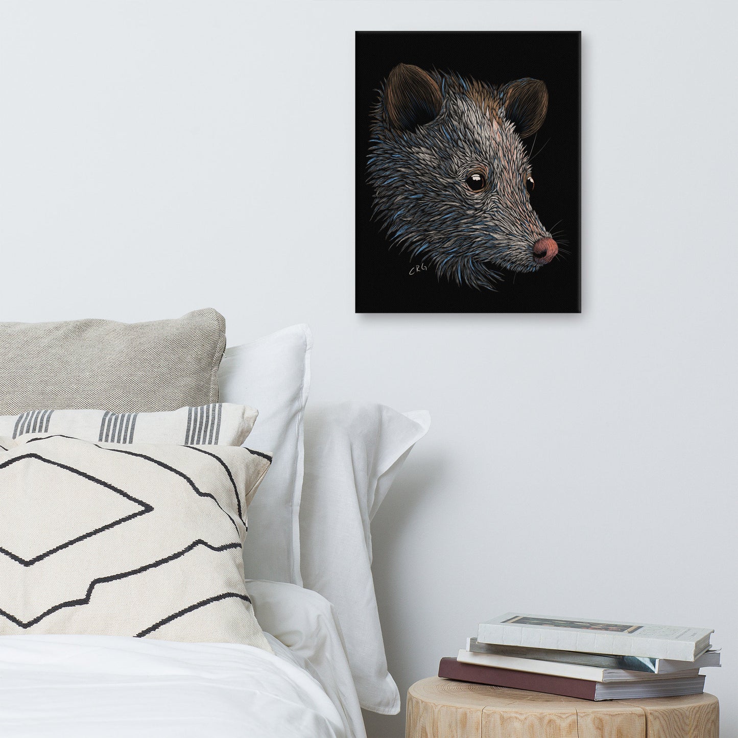Opossum Canvas Art Print