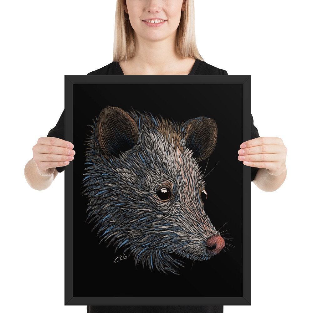 Opossum Digital Download Art Print