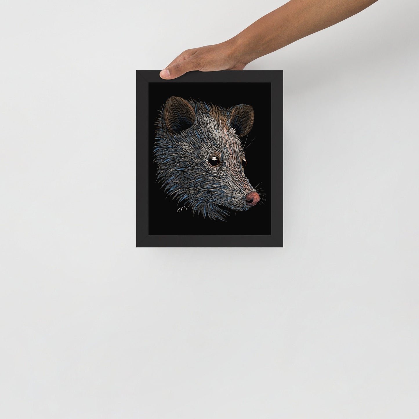 Opossum Digital Download Art Print