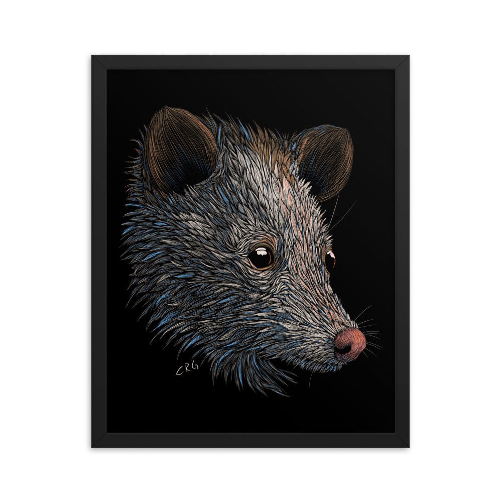 Opossum Digital Download Art Print