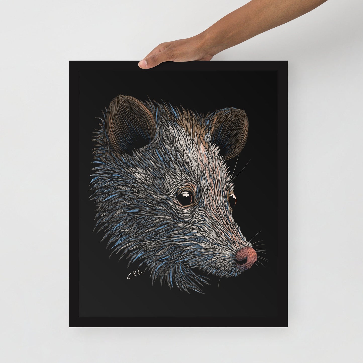 Opossum Digital Download Art Print