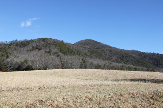 Cades Cove Hiking