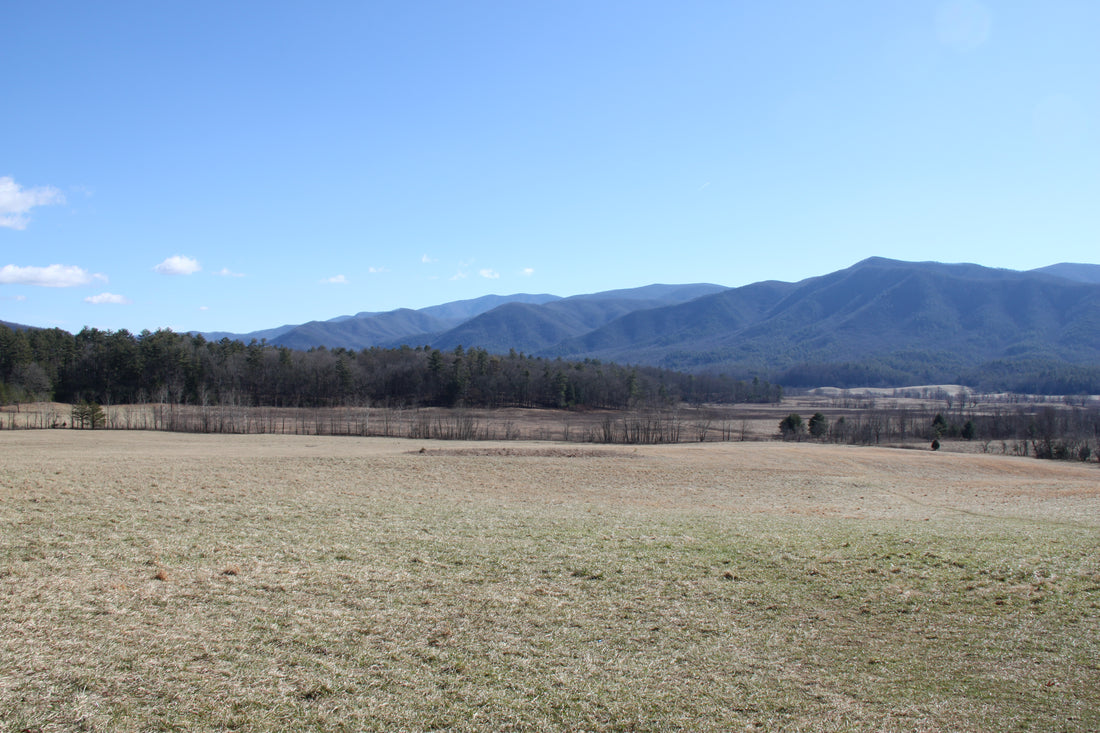 When I Was Walking in Cades Cove