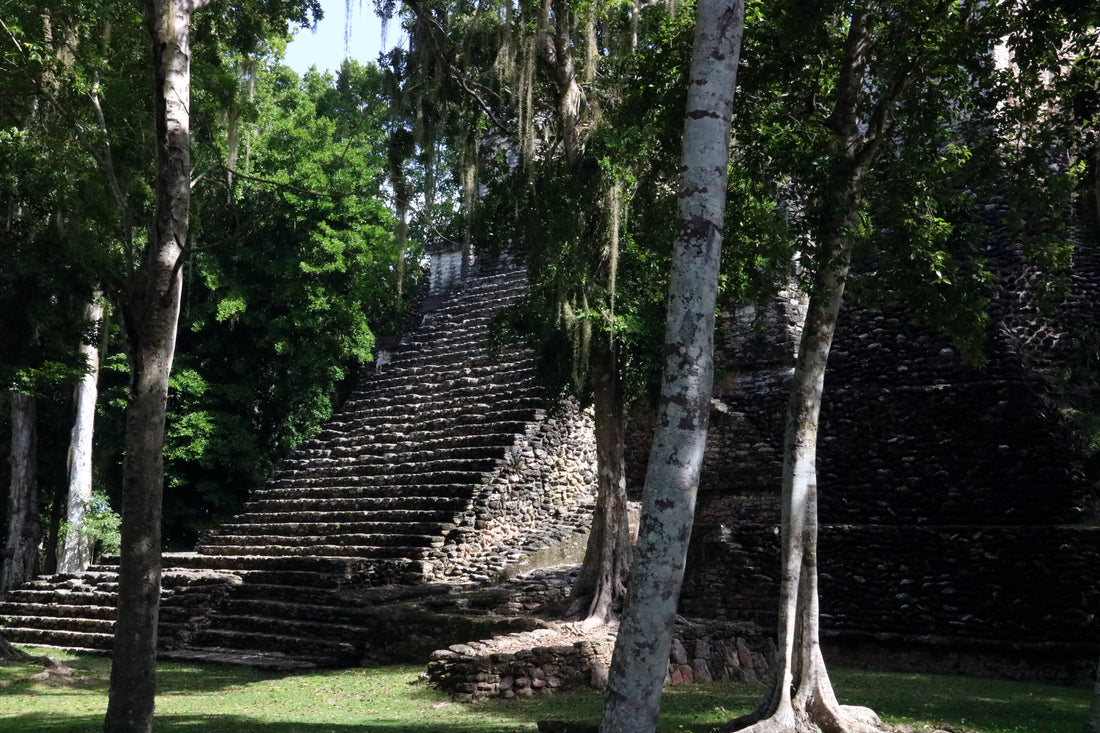 Forests and History: The Mayan Ruins of Dzibanti