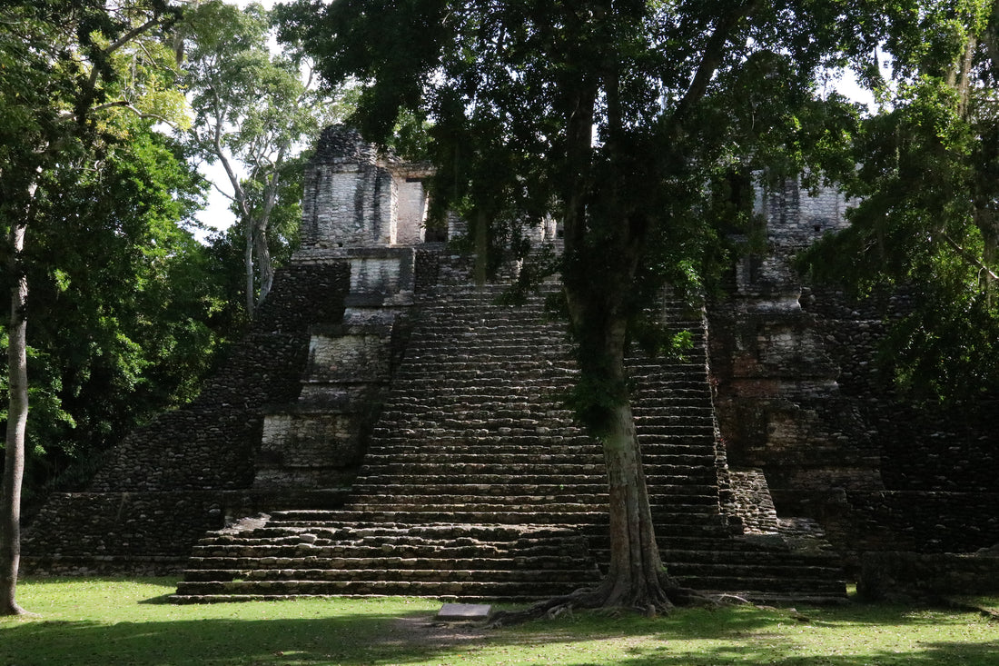 Mayan Tales: Dzibante