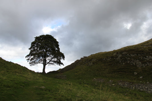 Over the Vertical Steps of Death to Sycamore Gap We Go