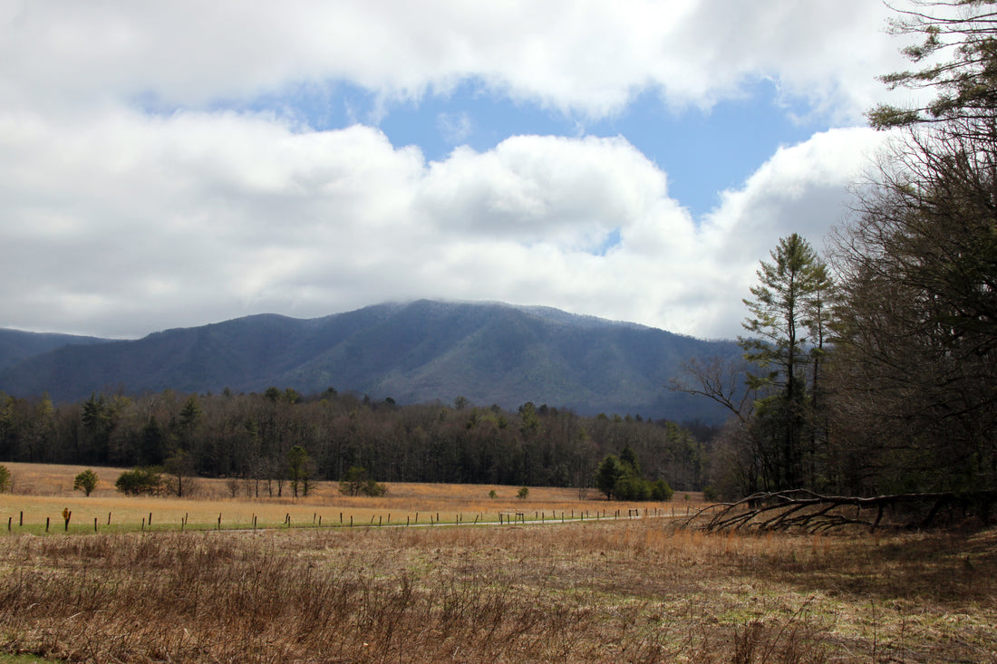 Hiking Cades Cove in the Great Smokey Mountains of Tennessee