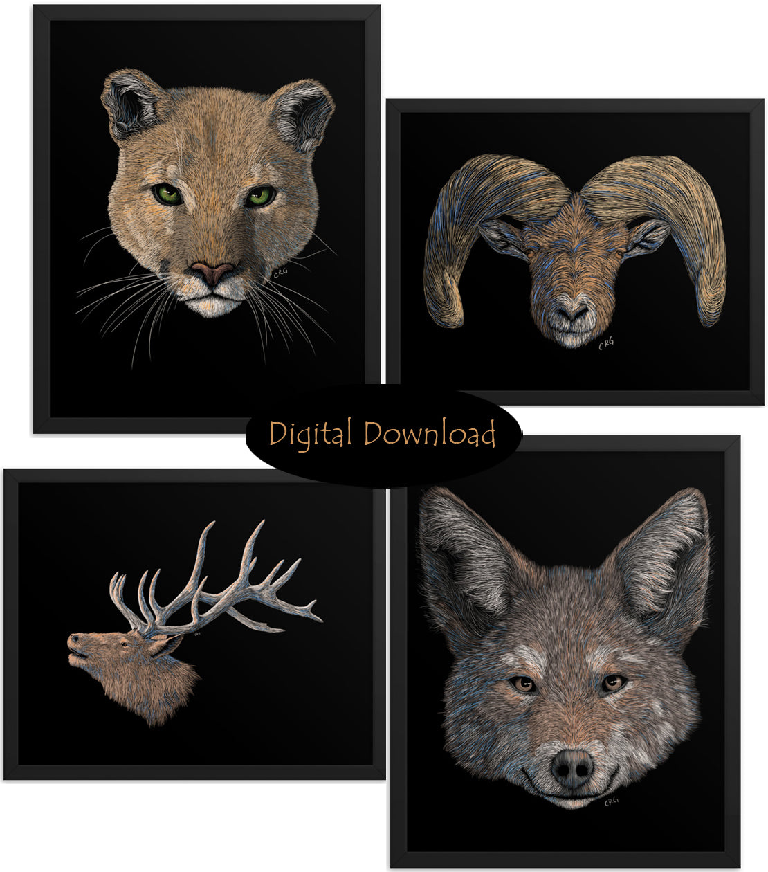 Grand Canyon Wildlife Digital Downloadable Art Bundle